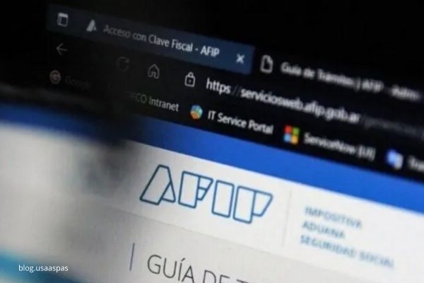 Turnos AFIP Sin Número Fiscal